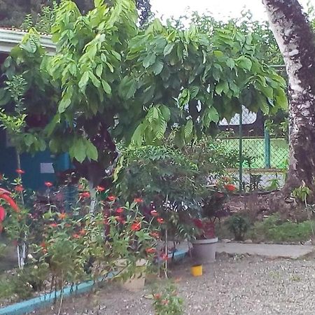 Cabinas Surf Side Cahuita Zewnętrze zdjęcie
