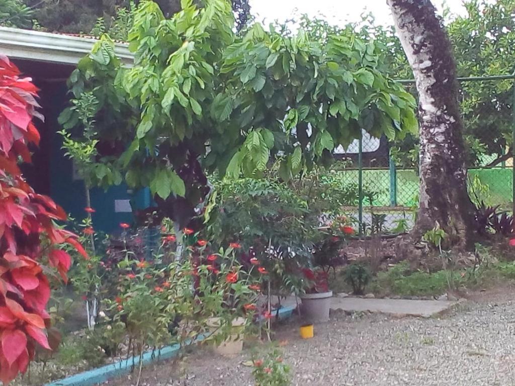 Cabinas Surf Side Cahuita Zewnętrze zdjęcie